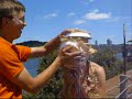 Katrin PIE-FACE