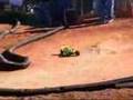 RC-Buggy-race-in-WAC