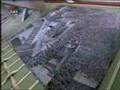 23 year's Domino part 8 2004