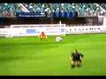 Fifa 09-Stankovic 50 yarder
