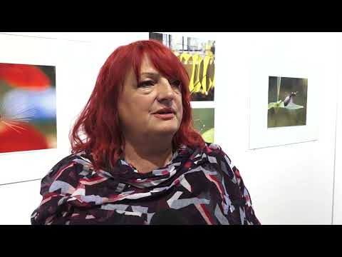 KONKURS LIKOVNOG SALONA KULTURNOG CENTRA