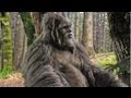 Bigfoot Spotted