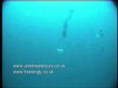 carlos-coste-102-metros.html