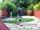 my form from behind 30-06-2008