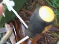 How to make an airsoft claymore
