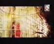 clip video Cheb Bilal Ntiya Omri