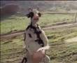 KARATEC� �NEK