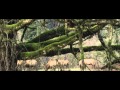 NPS - Danner Pronghorn  - Manufacturer