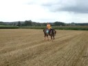 Esprit op de stoppel-galop(aug 2008)