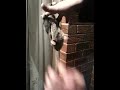 [Video] This Pesky Sugar-Glider Bit Me! Please leave a comment :) http://bit.ly/mmUxT