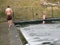 Krankes Schwein und Schwein