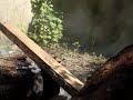 fendre une buche
