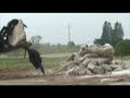 Quick Attach Skid Steer Sifting Grapple Rod Bucket Bobcat