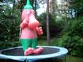 Plunk Trampoline test