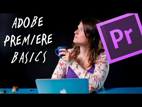Monteren met Premiere Pro voor beginners | Leren Editen | de Videomakers