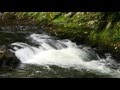 RELAXING HD NATURE - 6