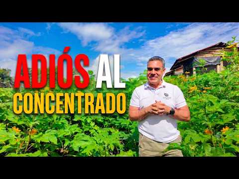 Esta planta reemplaza el concentrado de tus animales (y crece sola en tu finca)