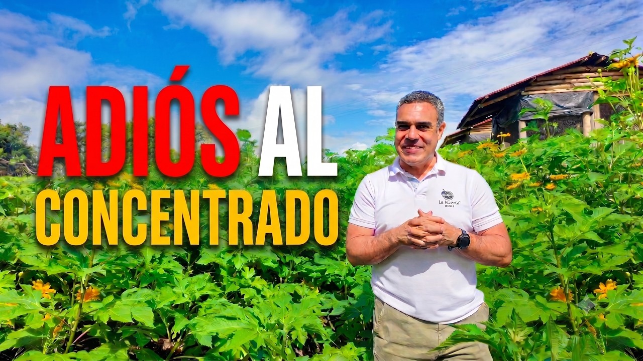 Esta planta reemplaza el concentrado de tus animales (y crece sola en tu finca)