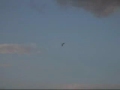 Typhoon 3D flying   #2