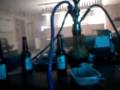 videos de Shisha boons
