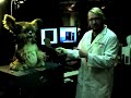 AI robot finally resolves age-old Purim debate