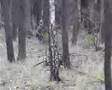 Airsoft Kladno - 75. průzkumný oddíl - 1. zappův film