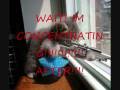 videos de Funny pics
