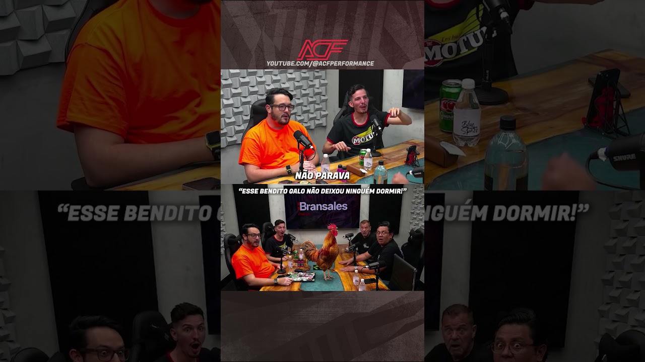 O GALO QUE NÃO DEIXOU NINGUÉM DORMIR