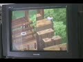 Mario Party 7 Mini -game tour part 9