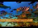 Eritrea - Welcome To Eritrea, ...