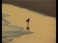 Surfaris Introduction DVD