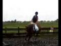 Sylvester tijdens de hoogtesprong (L) 1.15 m