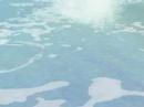 Paramore- Conspirancy | sims 2 style|