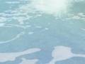 Paramore- Conspirancy | sims 2 style|