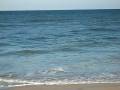 videos de Fishing  at St Augustine