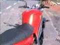 2008 Triumph Speed Triple 1050 Walk Around