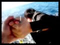 Fiji Fiji