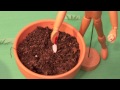 Share the Love! Send seeds to someone you Love!