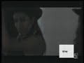 las ardillitas de mr  jat