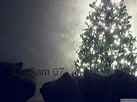 See video