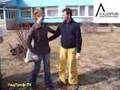 Метаморфоза берет ответственность
