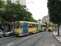 Trams in Brussel / Trams le Bruxelles STIB MIVB
