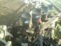 jcb fastrac