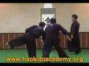 Hap-Ki Sool technique demonstration
