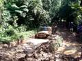 videos de Camel001