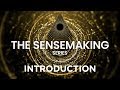 What the F*ck is Going On? The Sensemaking Series, Rebel Wisdom
