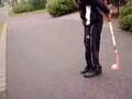 fantastic zorro