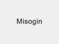 Misogin