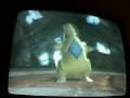 Test Video 2