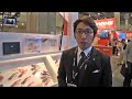【フィッシングショー2011】エギリー・ダートマックスTR【 …